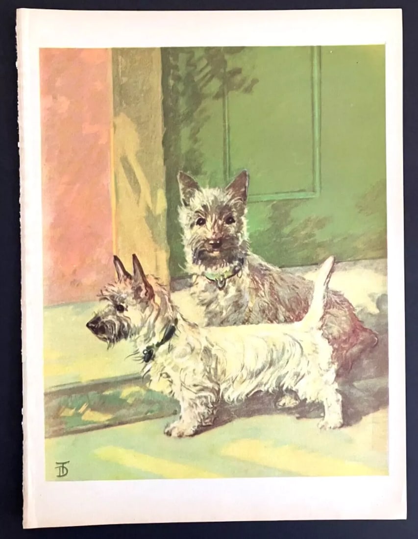 Diana Thorne Dog Print in 11x14 Mat: "Cairn Terrier Twins", EUC - 2