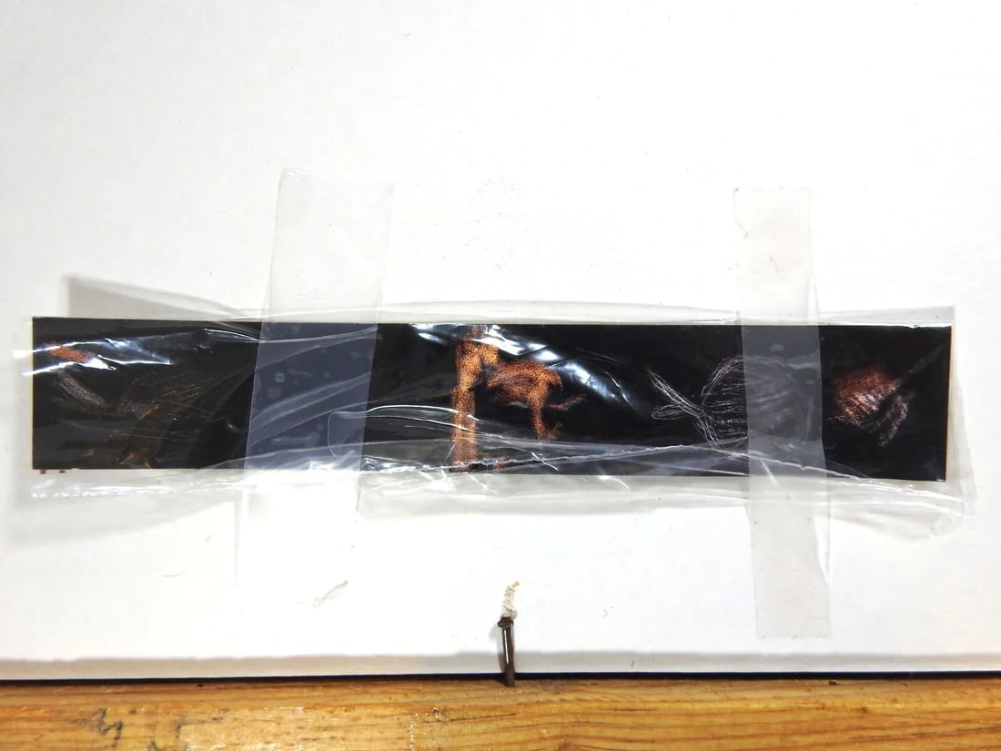 Original Surrealism Print by Pedro Tello Signed - 10