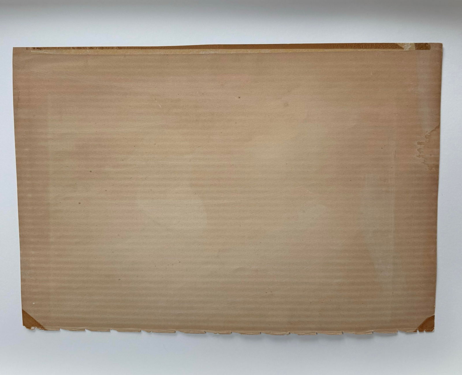 1860s Hand-Colored Duck Lithograph From John Gould's "Birds of Great Britain" - 4