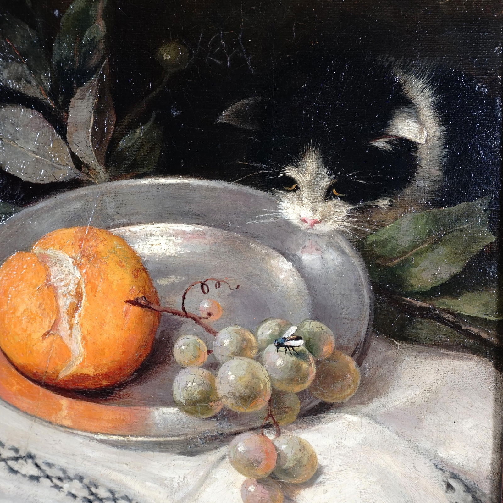 Still Life Portrait Cat and Fruit, 19thc German Oil Painting Signed - 3