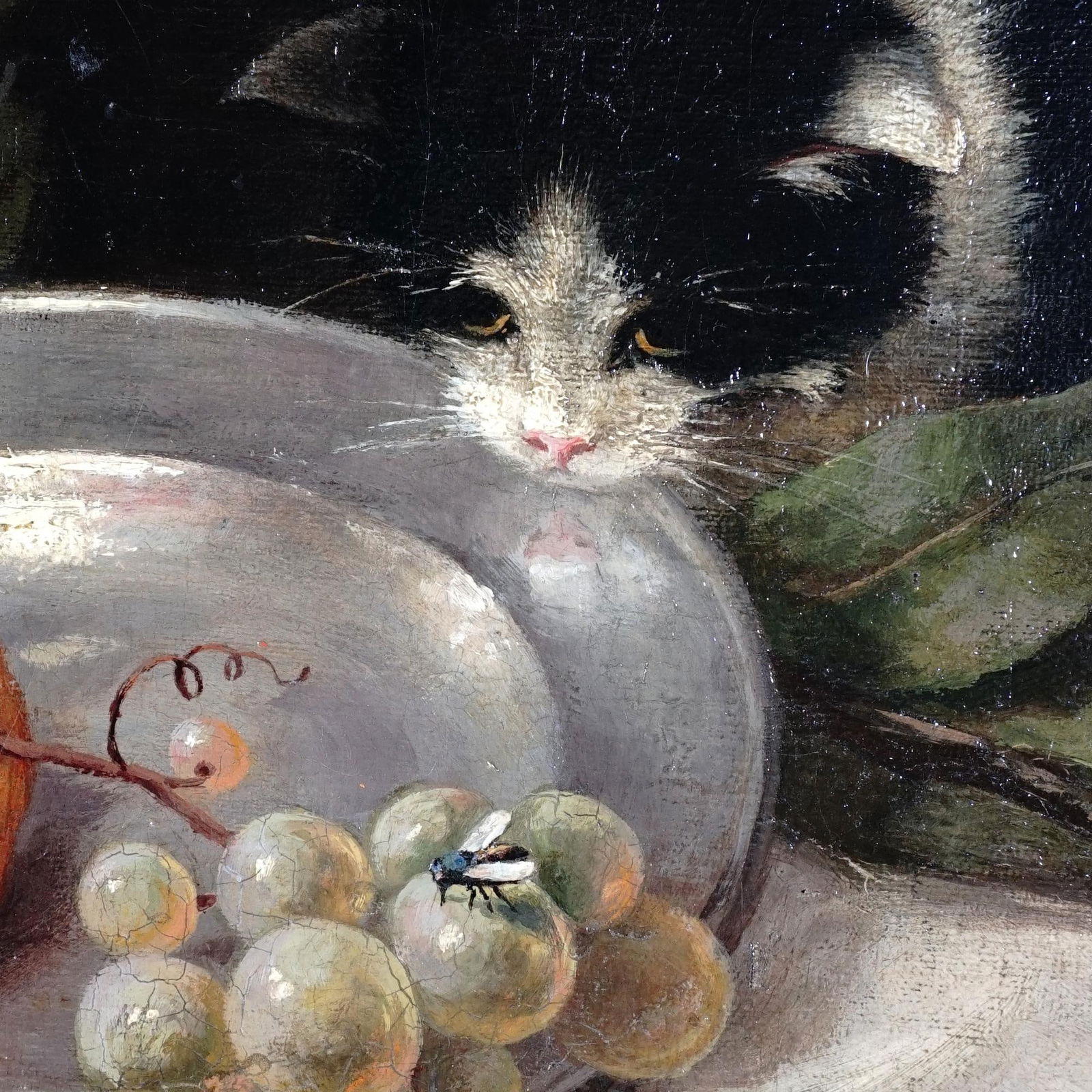 Still Life Portrait Cat and Fruit, 19thc German Oil Painting Signed - 4