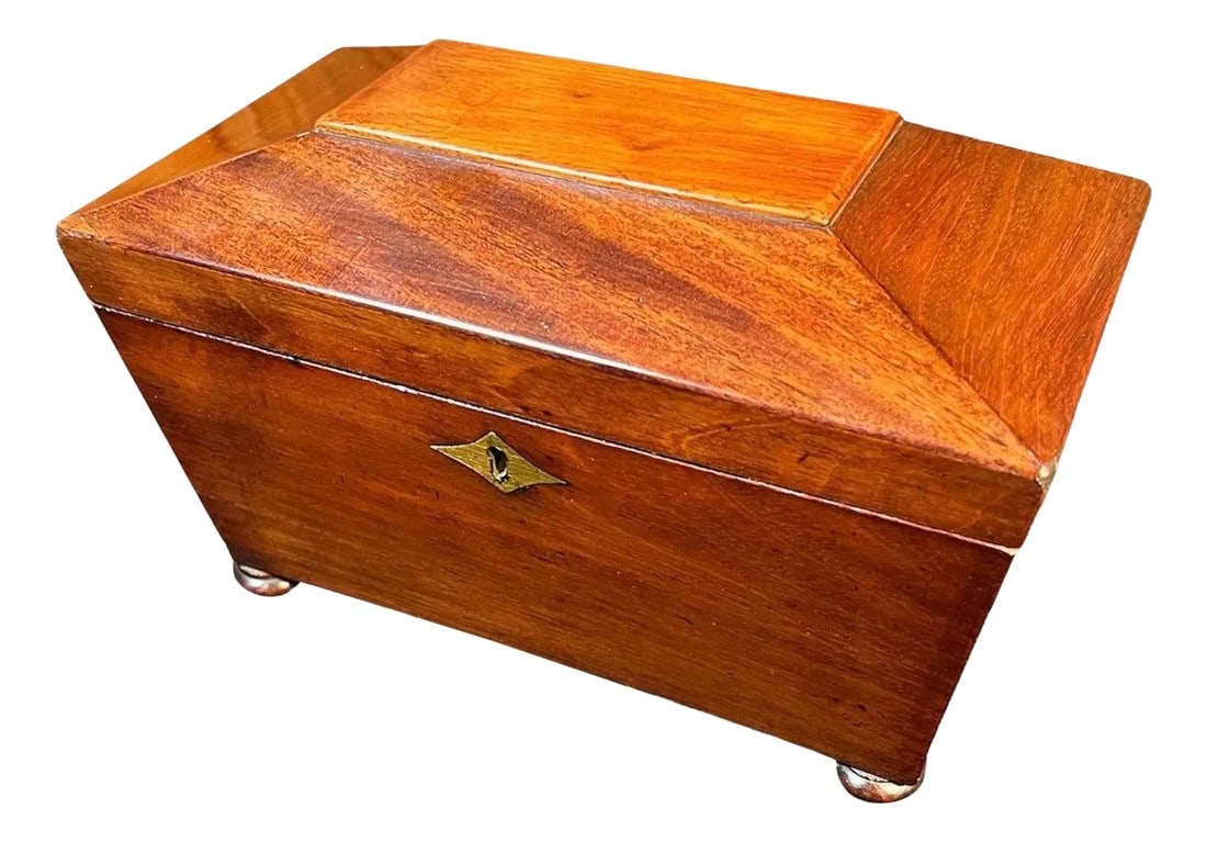 Regency Mahogany Sarcophagus form Tea Caddy (1 of 12)