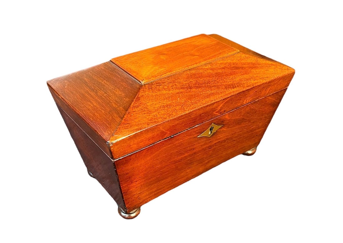 Regency Mahogany Sarcophagus form Tea Caddy - 5