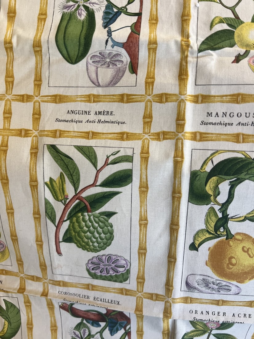 Brunschwig & Fils Botanical Print Fabric: Cotton Botanical print in yellows,greens and pink of fruit bordered by a bamboo frame perfect to use as a wallhanging Condition: Imperfections: No Imperfections Condition Notes: Perfect Dimensions: He