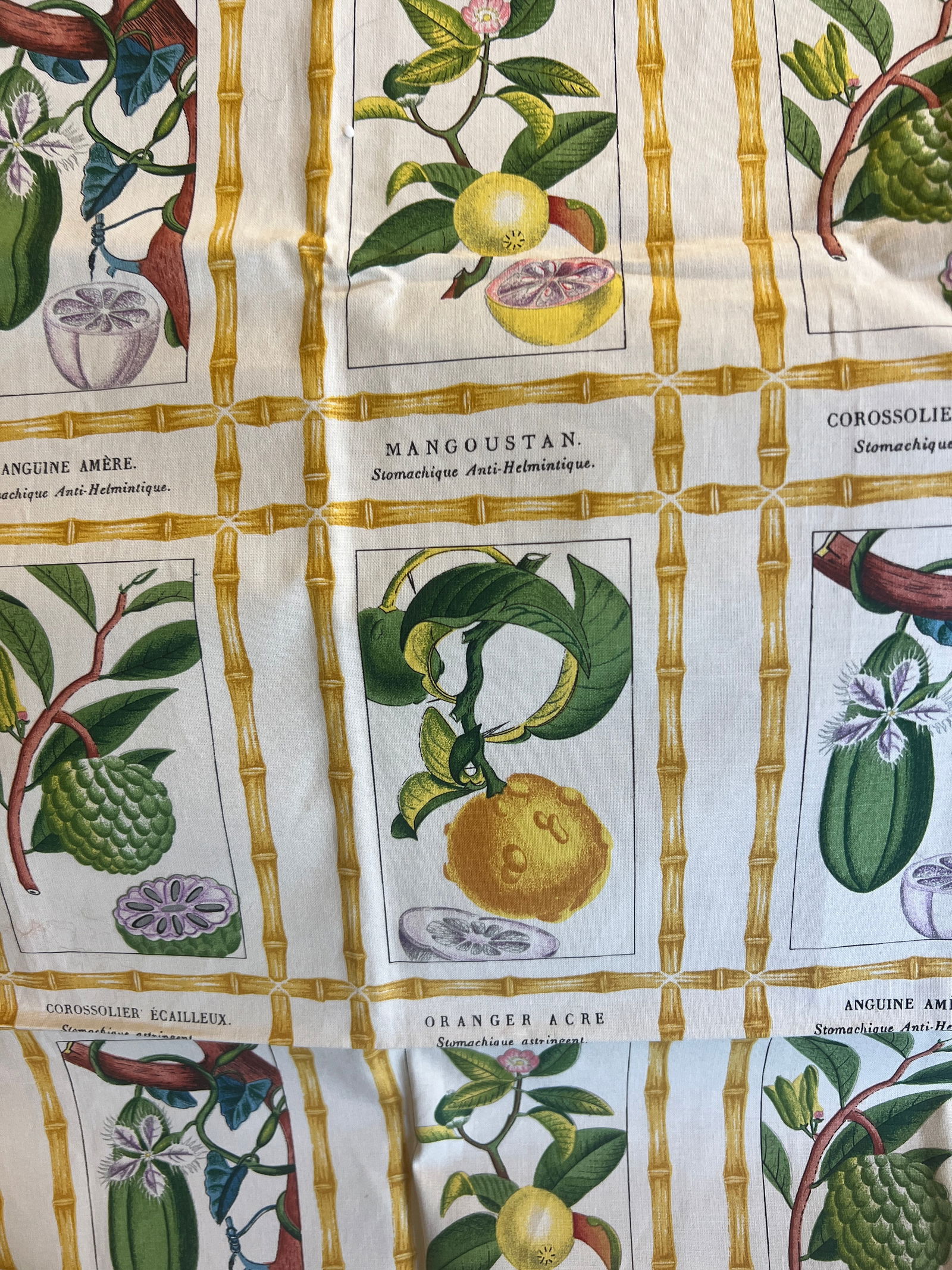 Brunschwig & Fils Botanical Print Fabric - 2