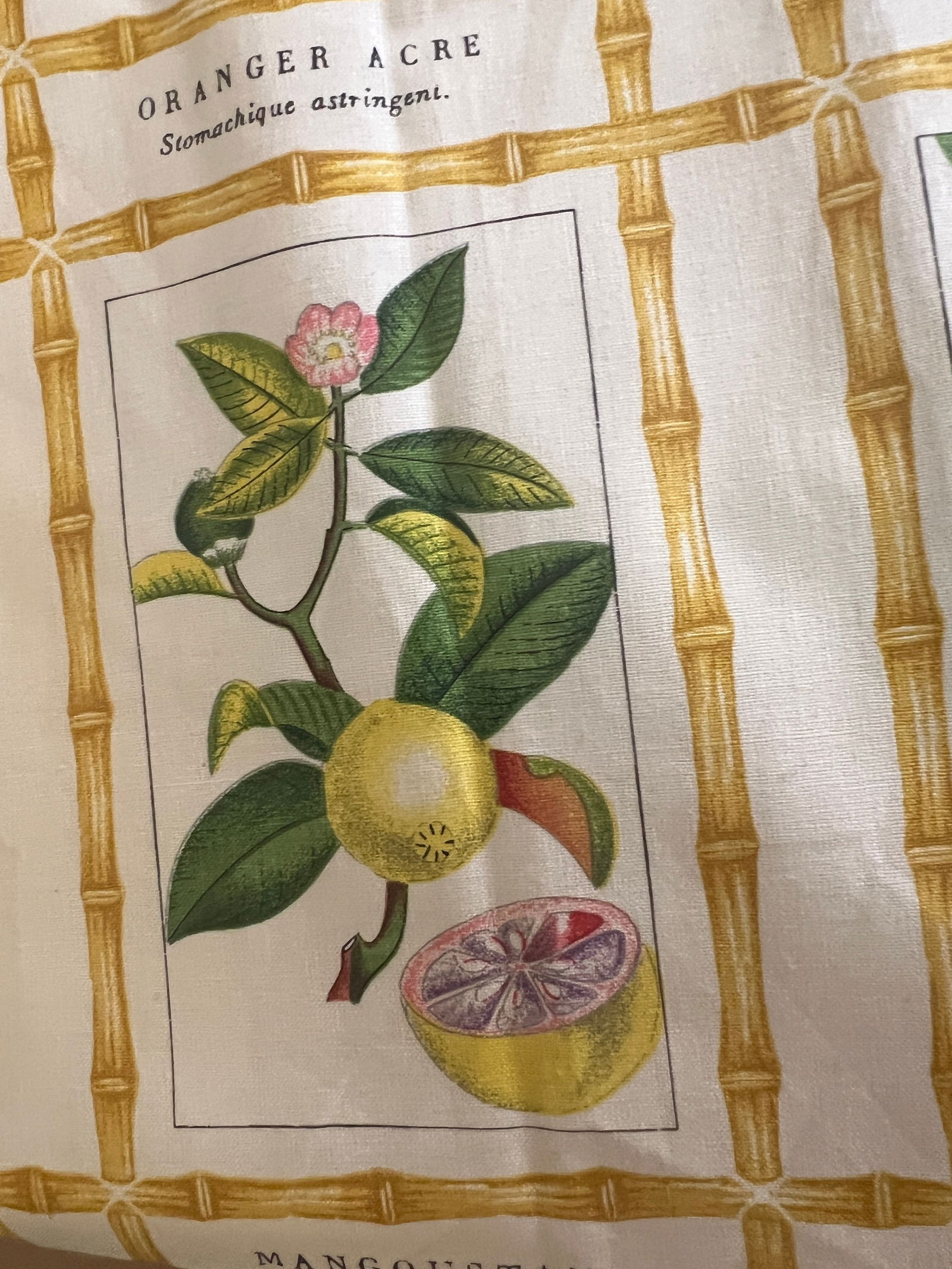 Brunschwig & Fils Botanical Print Fabric - 4