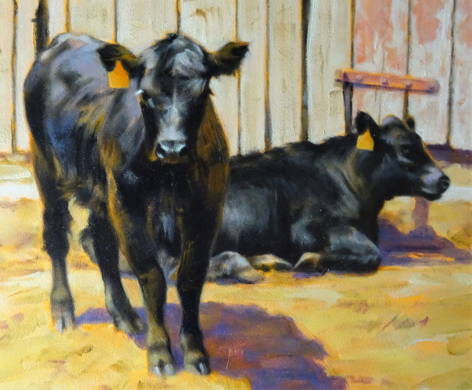 "Black Angus", Framed Small Oil Painting on Artist Board, Sandra Eames, Vermont Artist, 2017 - 3