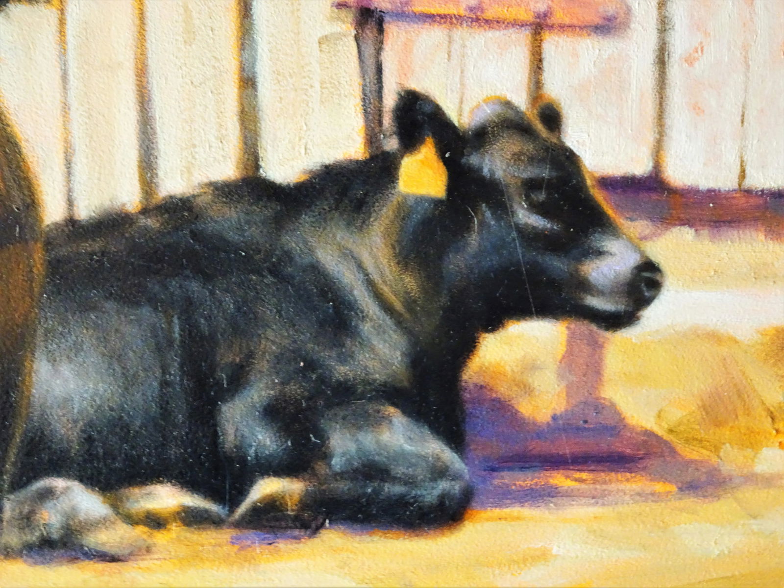 "Black Angus", Framed Small Oil Painting on Artist Board, Sandra Eames, Vermont Artist, 2017 - 5