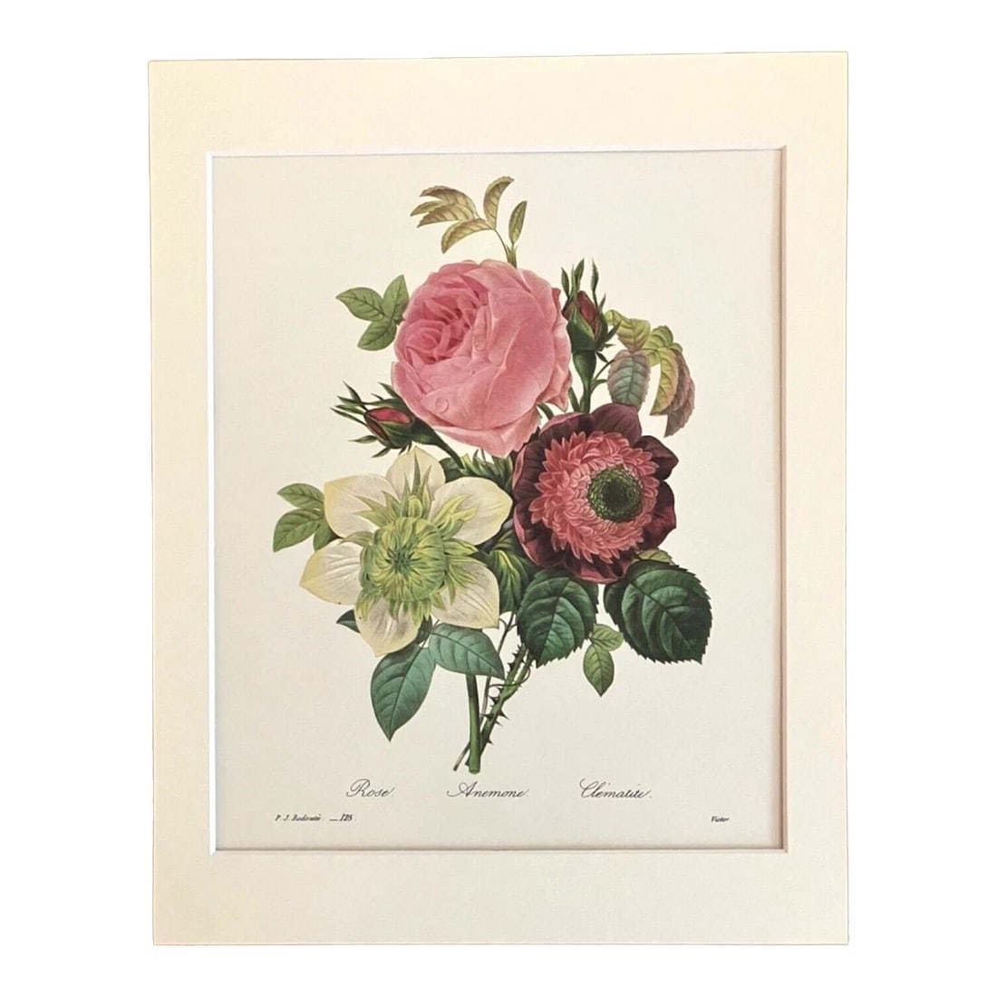 Vintage Pierre-Joseph Redoute in 11x14 Mat - Rose, Anemonie, & Clematis, EUC: Up for sale is this gorgeous vintage print by PJ RedoutÃ©. We believe it is from a folio issued in the 1980s, one of several we are currently listing. It is matted in a pH neutral 11x14 mat