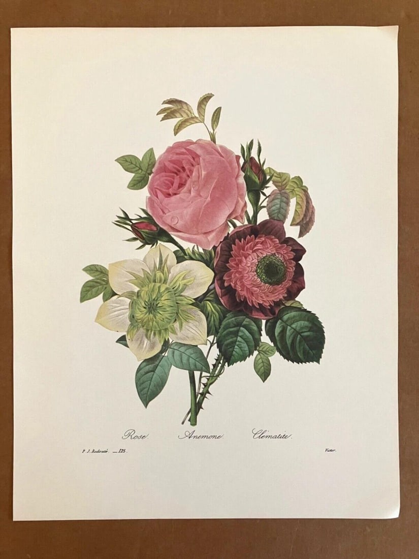 Vintage Pierre-Joseph Redoute in 11x14 Mat - Rose, Anemonie, & Clematis, EUC - 2