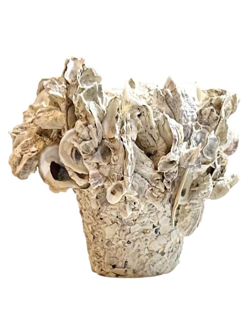 Carole Guyton Clam Shell Pots - A Pair - 4