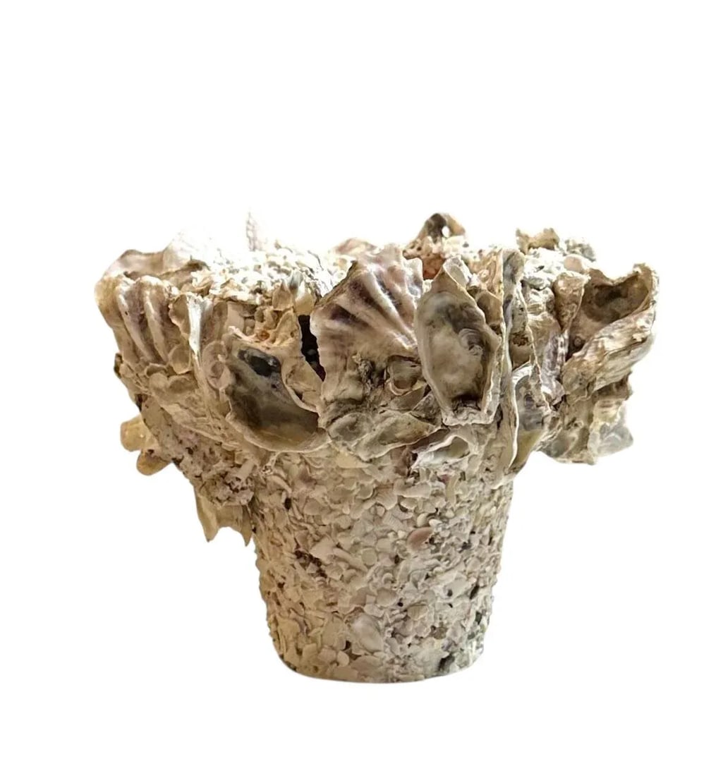 Carole Guyton Clam Shell Pots - A Pair - 5