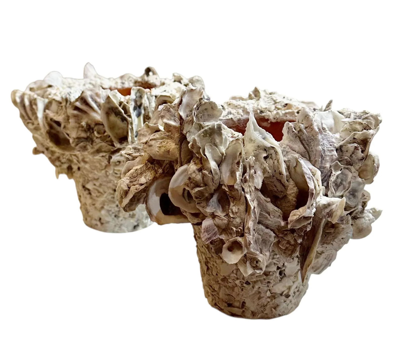 Carole Guyton Clam Shell Pots - A Pair - 8