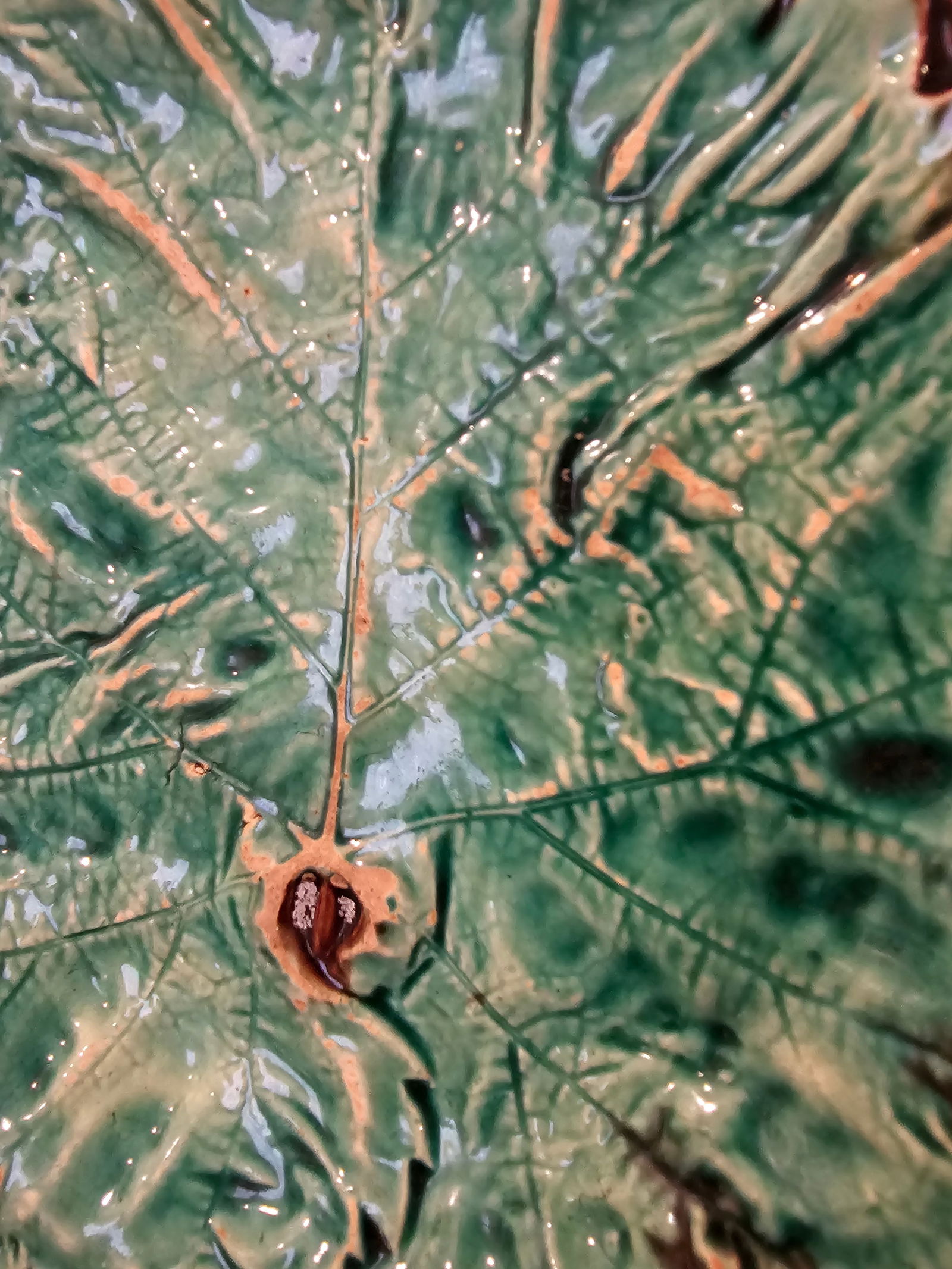 19th Century Begonia Leaf Majolica Plates -Set of 4 - 8