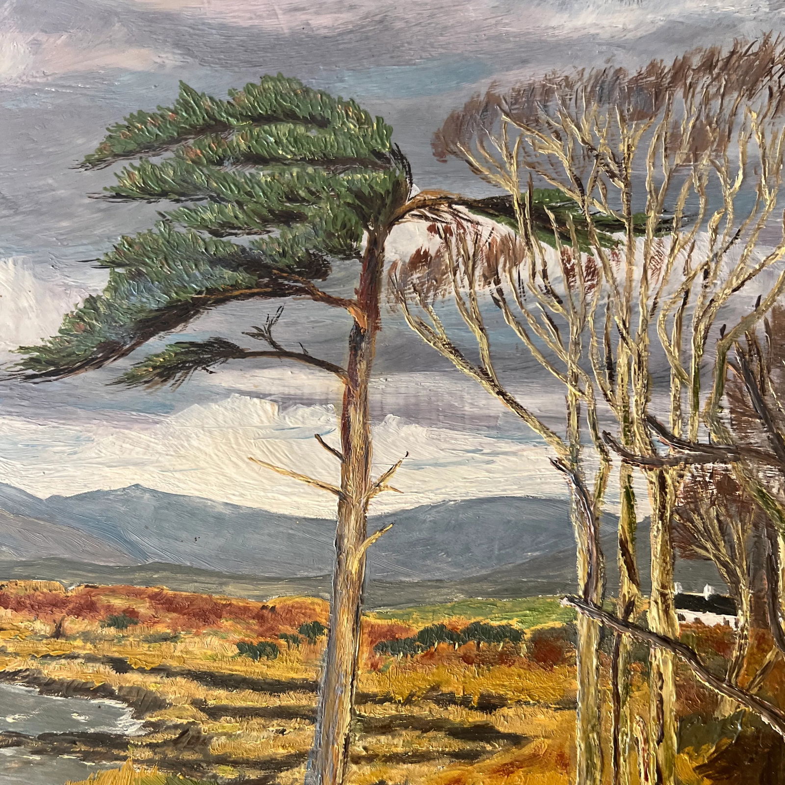 Oil on Artist Board Windswept Seaside Landscape Framed Signed Made in 1950 by British Artist McMilla - 10