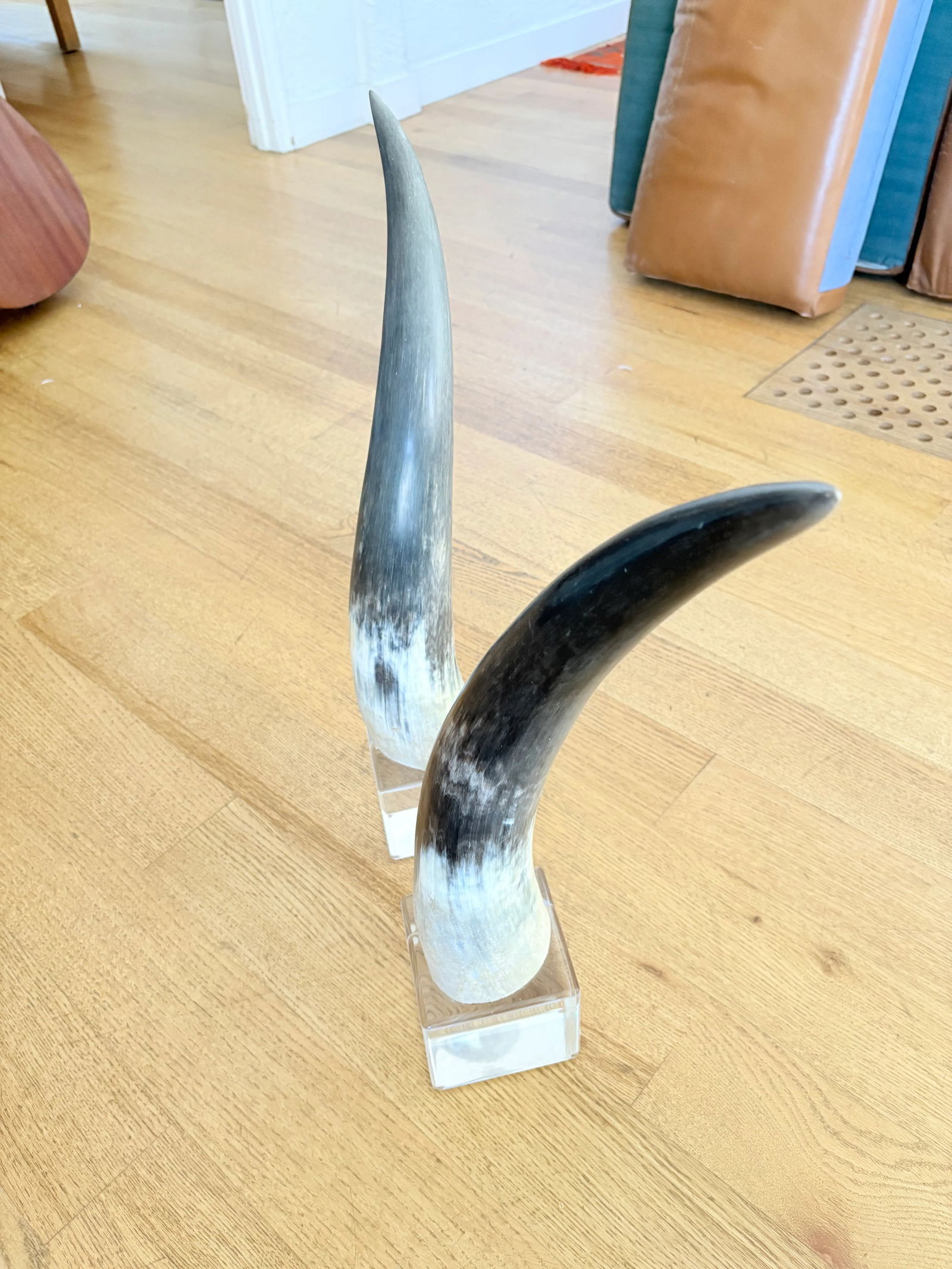 Large Vintage Steer Horns Mounted on Lucite Bases- a Pair - 2