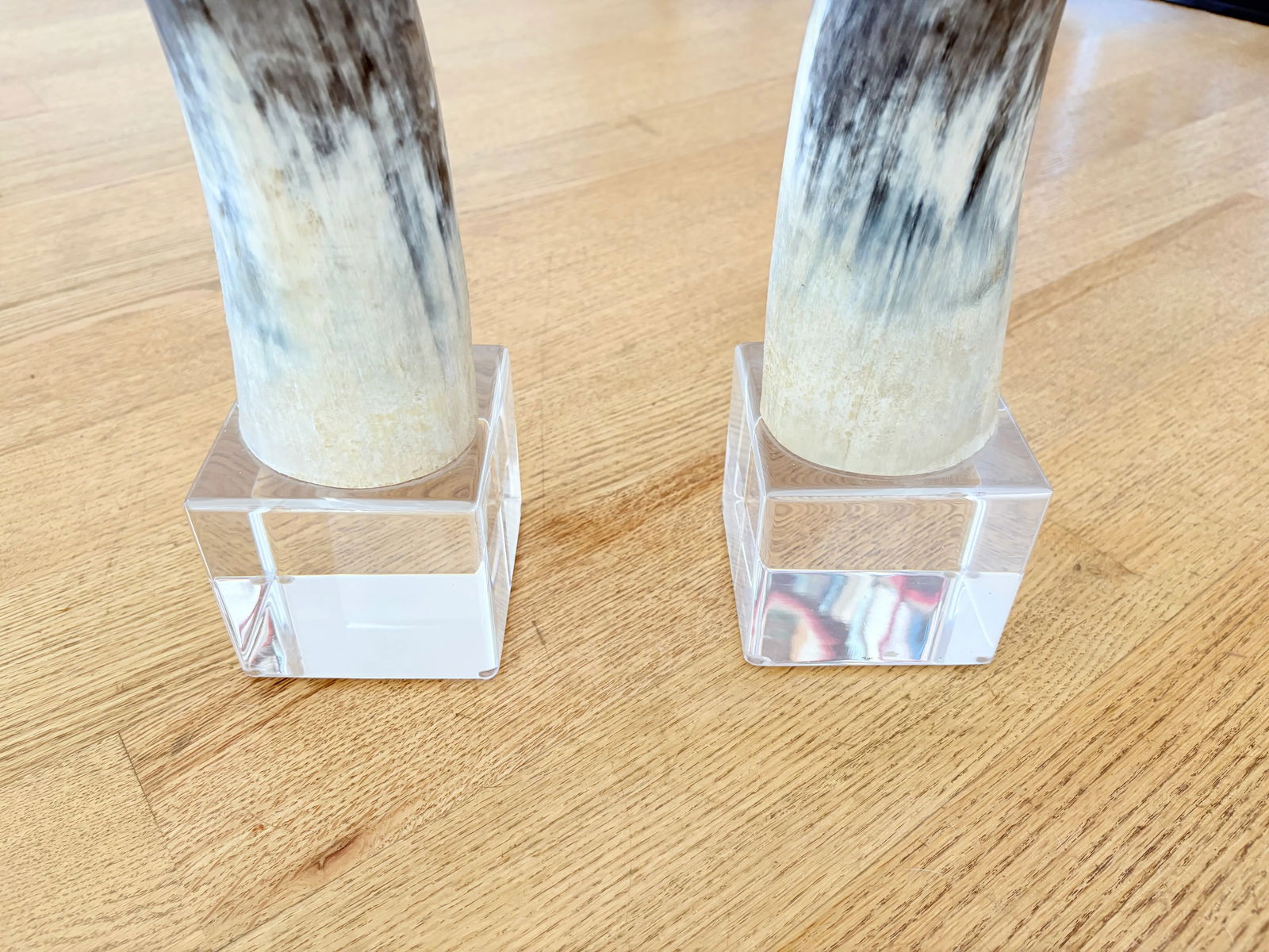 Large Vintage Steer Horns Mounted on Lucite Bases- a Pair - 3