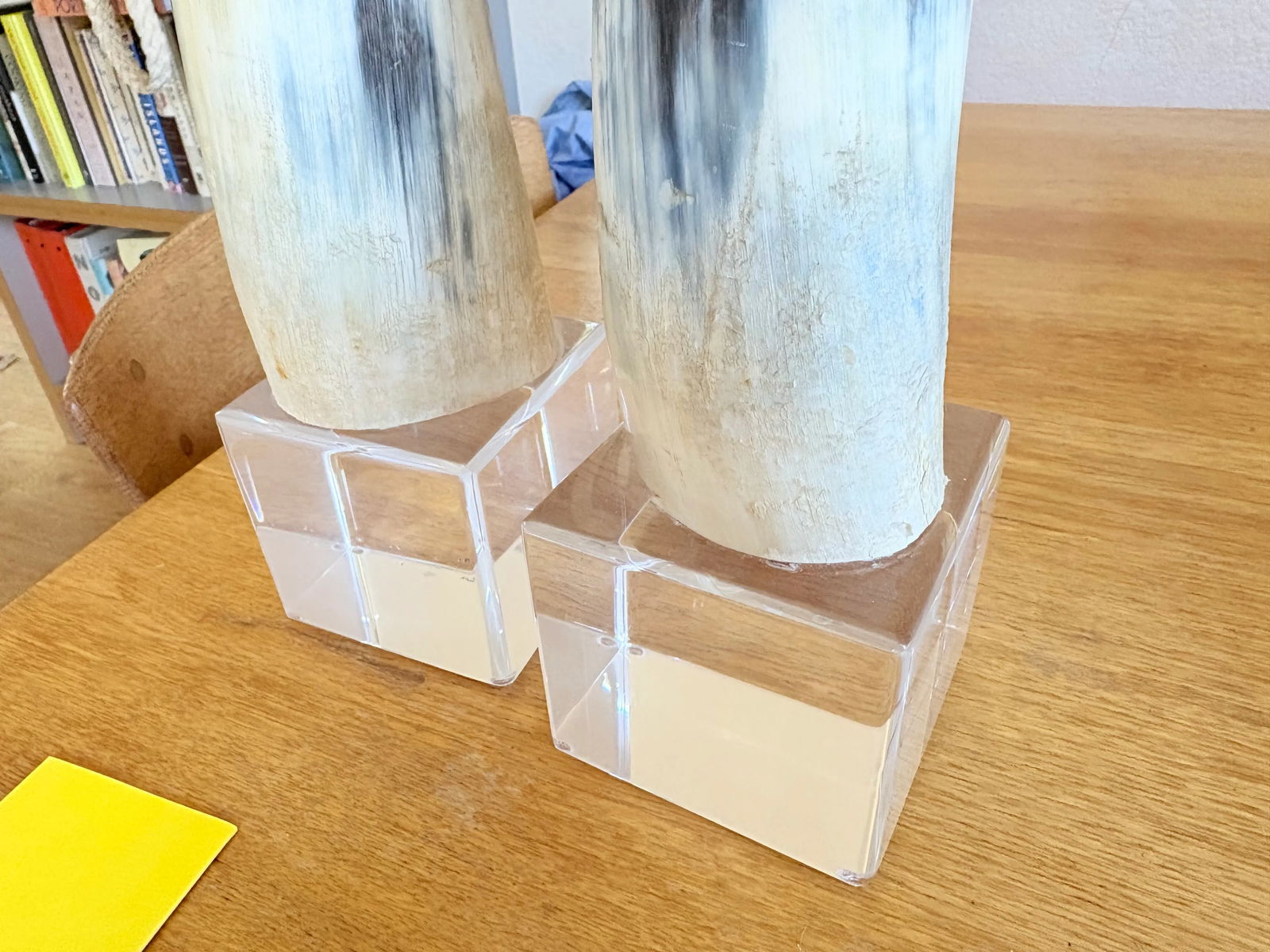 Large Vintage Steer Horns Mounted on Lucite Bases- a Pair - 4