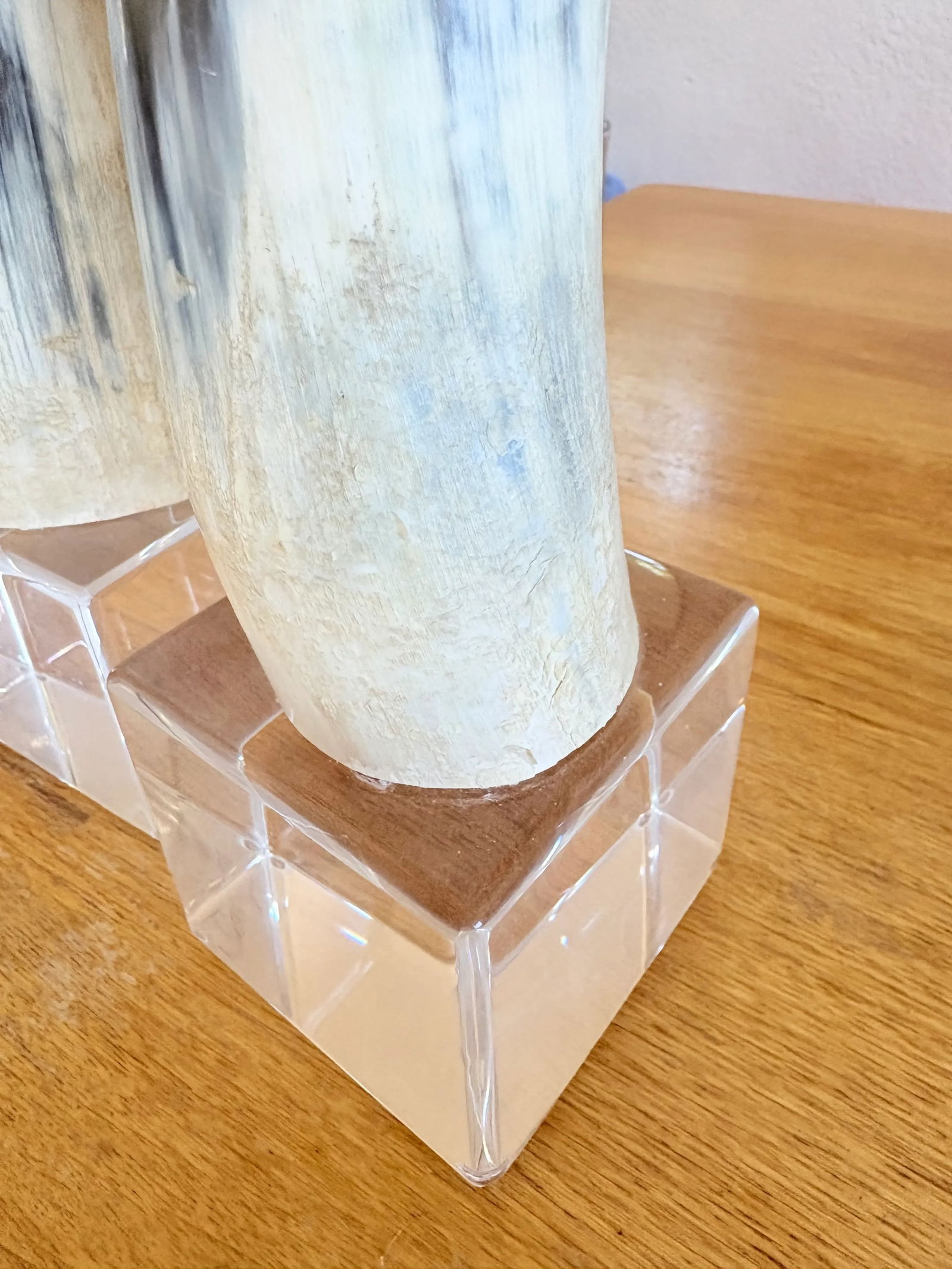 Large Vintage Steer Horns Mounted on Lucite Bases- a Pair - 5