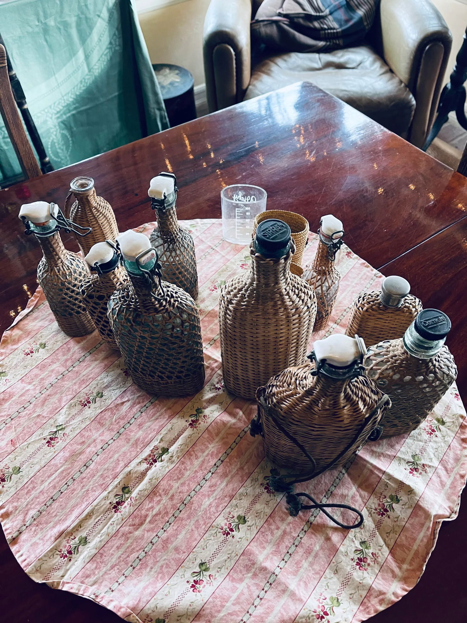19th Century French Century Demijohn Bottle Collection - Set of 11 - 5
