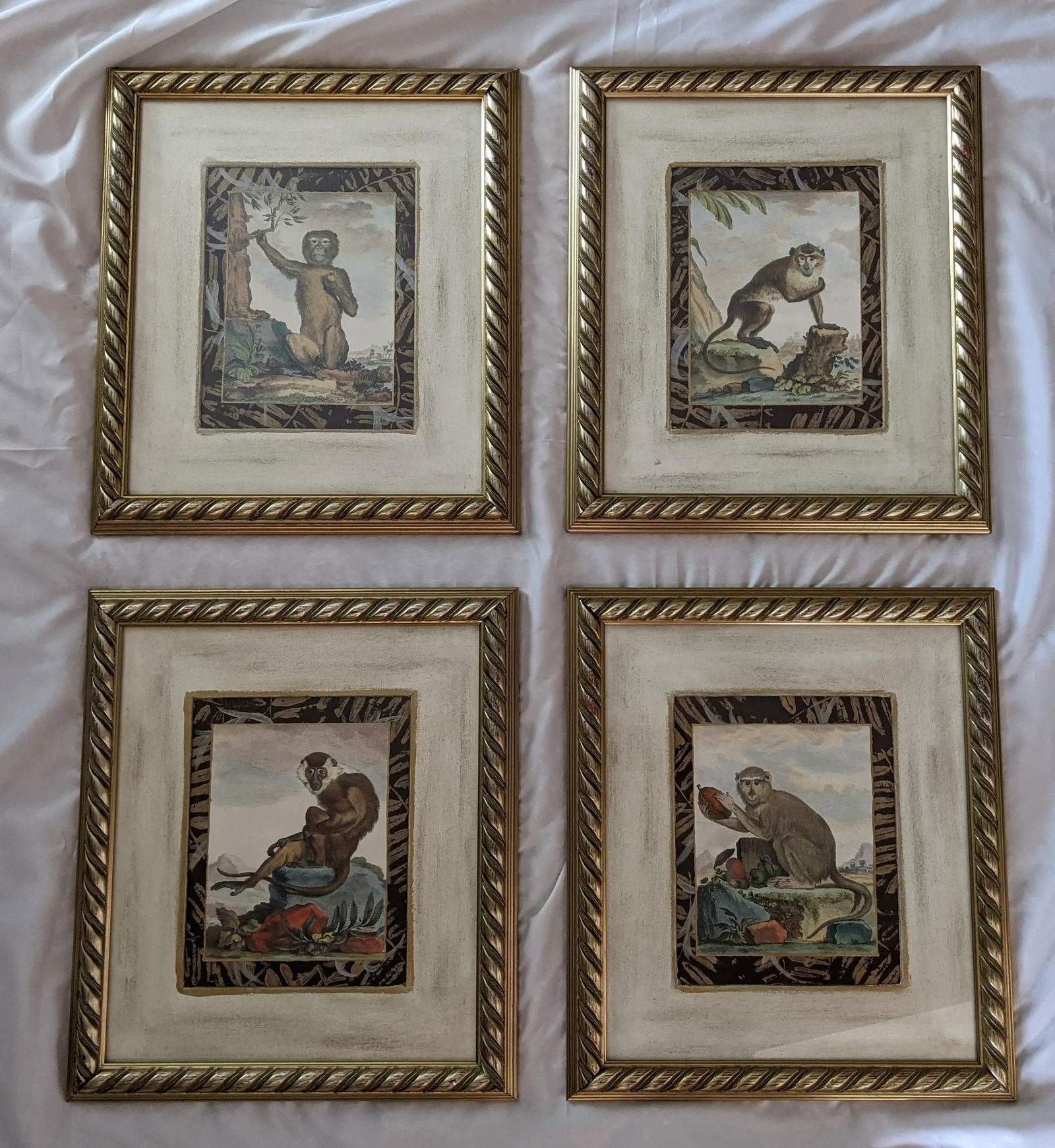 Late 20th Century Hand-Colored Engravings of Monkeys After G. Buffon, Framed - Set of 4 - 13
