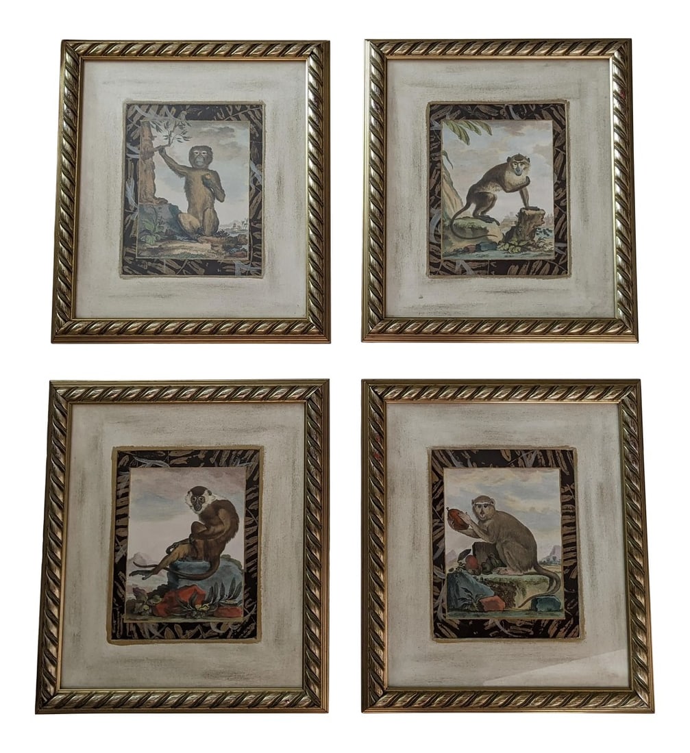 Late 20th Century Hand-Colored Engravings of Monkeys After G. Buffon, Framed - Set of 4 (1 of 13)
