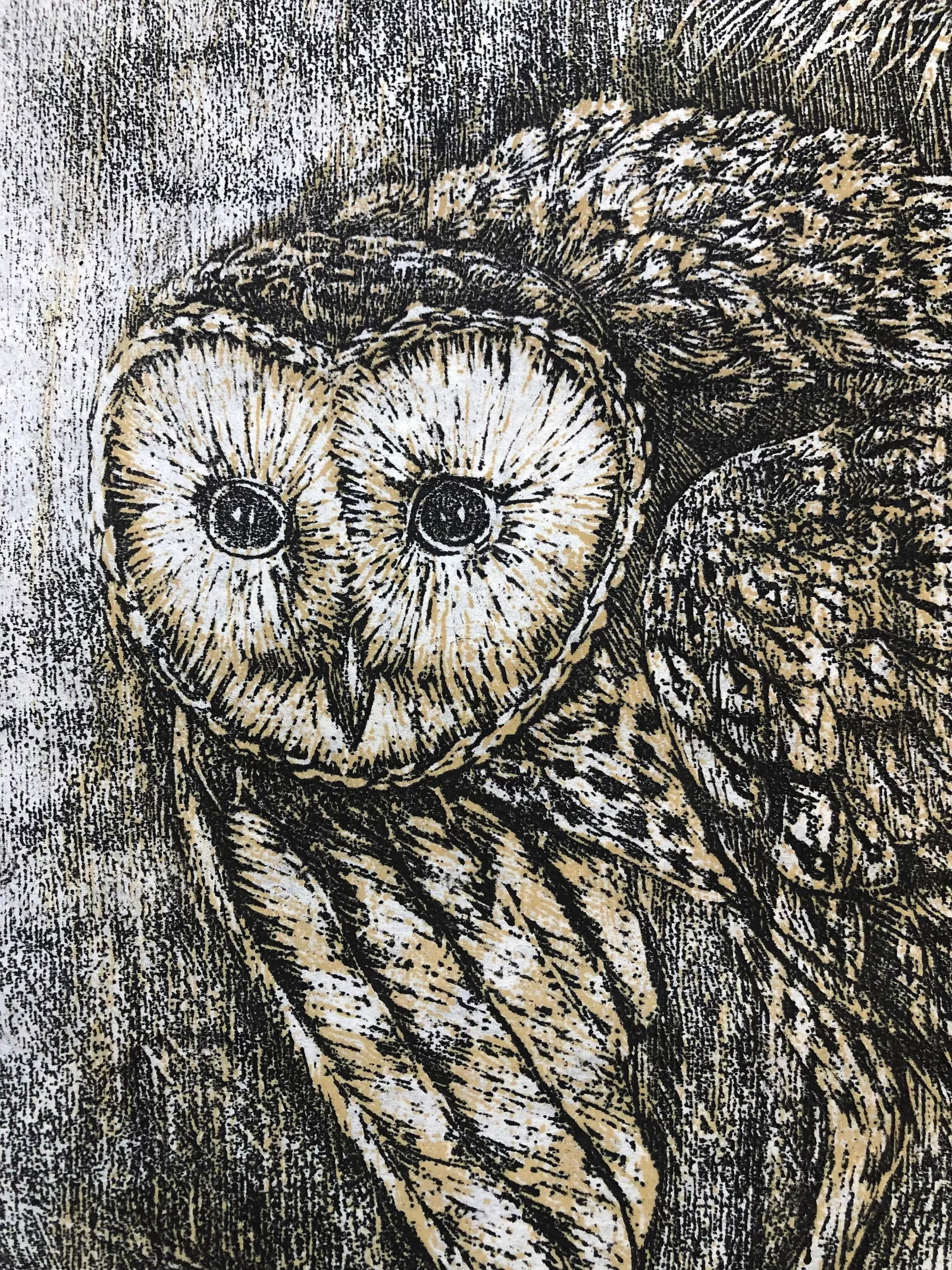 1975 Martha Cawley Woodblock Print, Barn Owls, #1/100 - 2