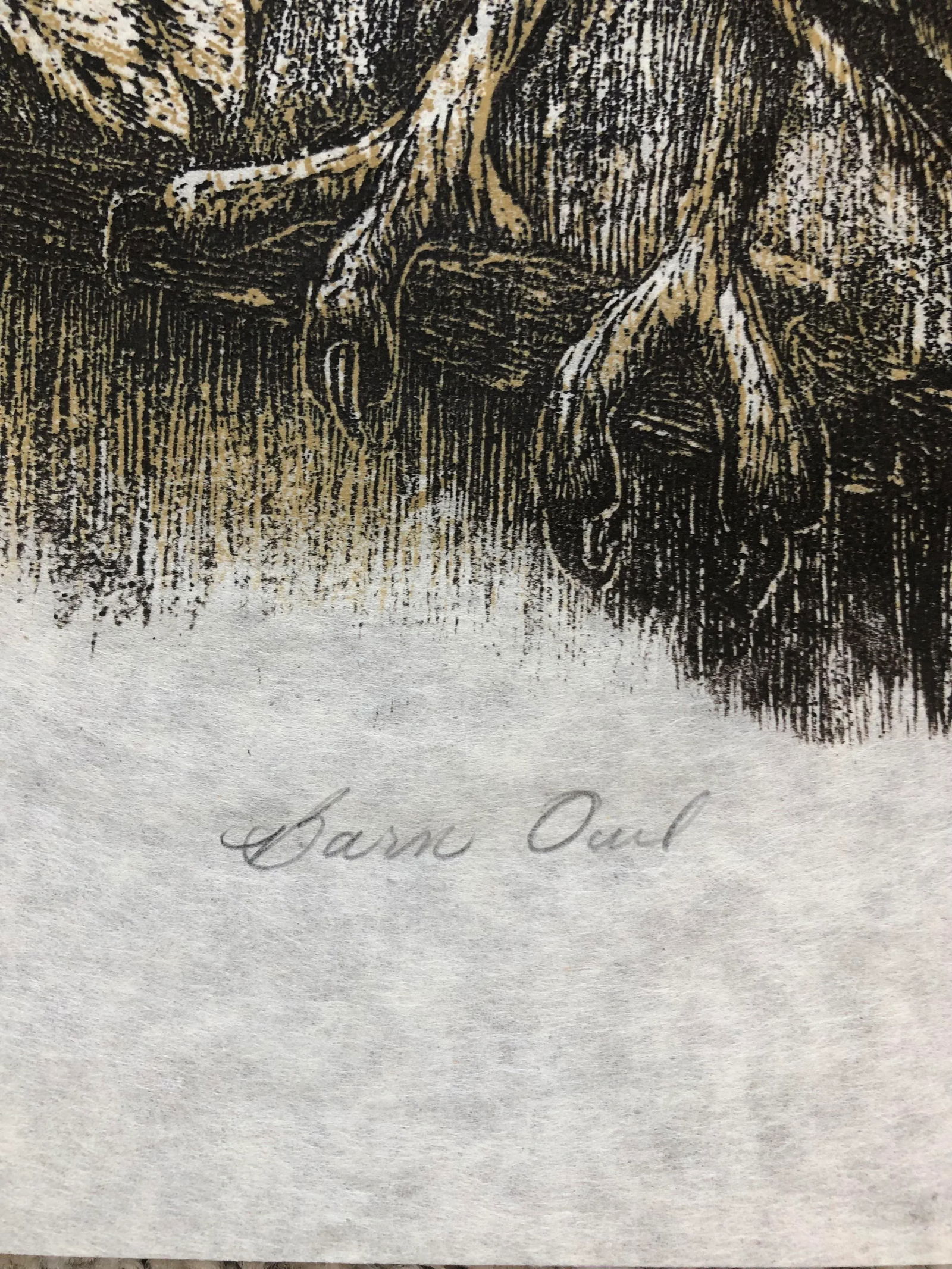 1975 Martha Cawley Woodblock Print, Barn Owls, #1/100 - 3