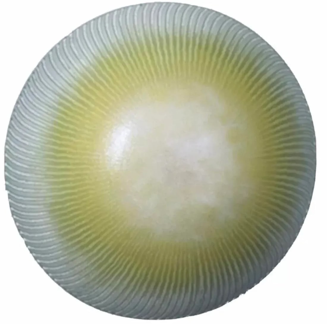 1960s Large Maurice Heaton Art Glass Signed Plate - 11