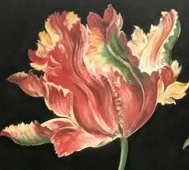 "Tulip" Contemporary Original Botanical Pastel Drawing by Marianne Stikas - 2