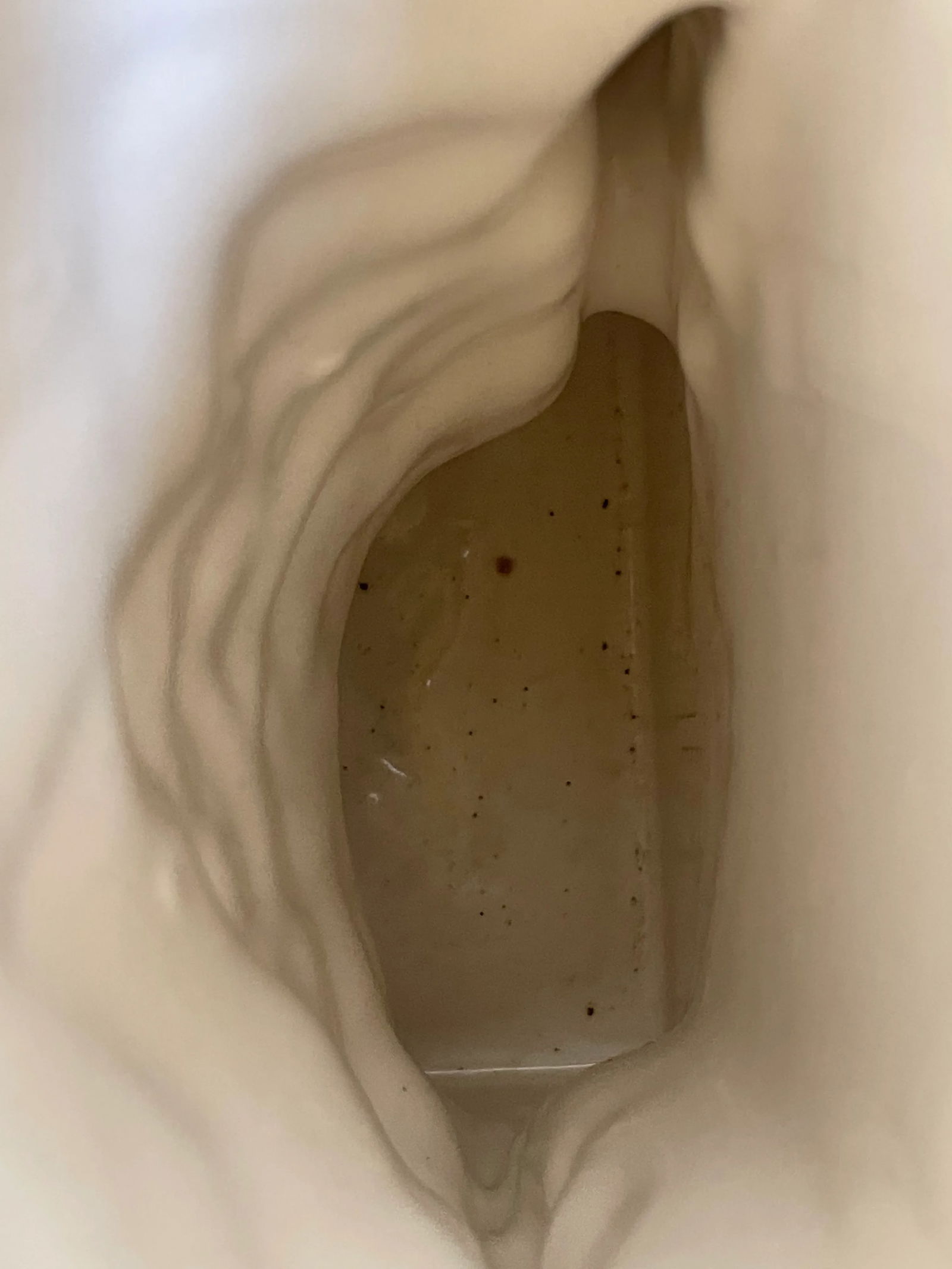 Pair Vintage Mid 20th Century Staffordshire Mill House in Woods Landscape Spill Vase With Gold Accen - 7