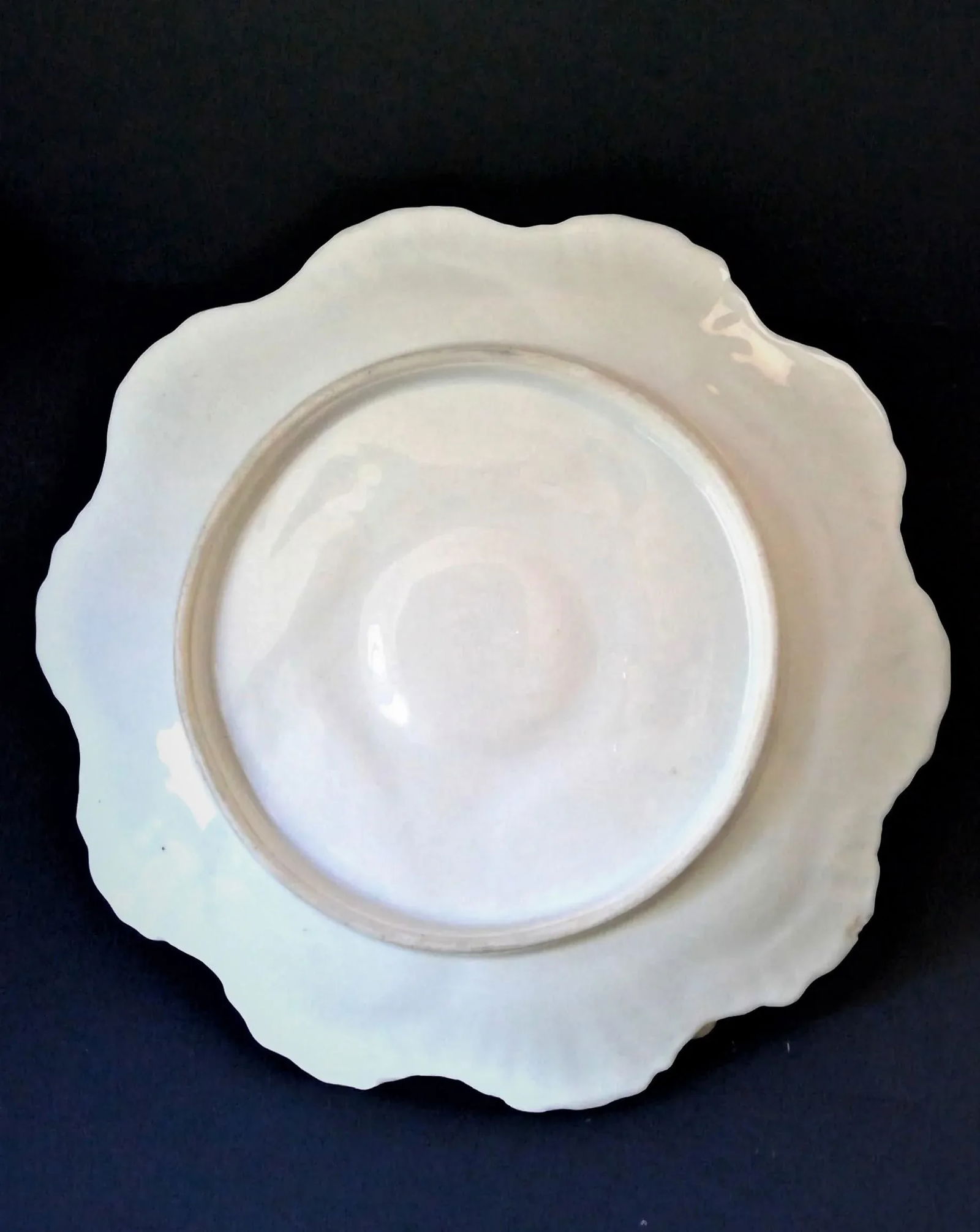 Antique Late 19th Century Registrirt 5 Well Oyster Plate 1880's With Gold Trim From Germany - 4