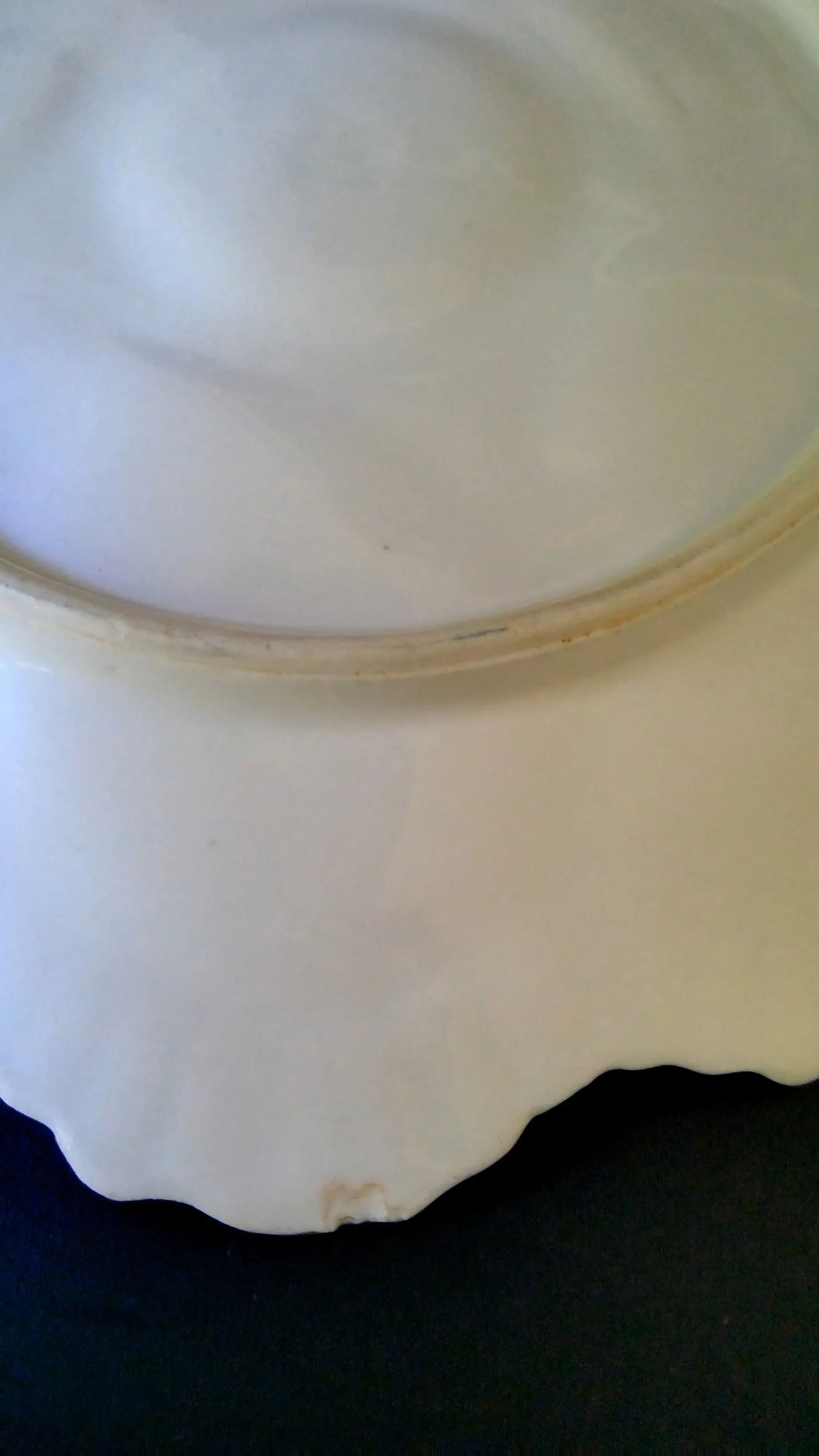 Antique Late 19th Century Registrirt 5 Well Oyster Plate 1880's With Gold Trim From Germany - 7