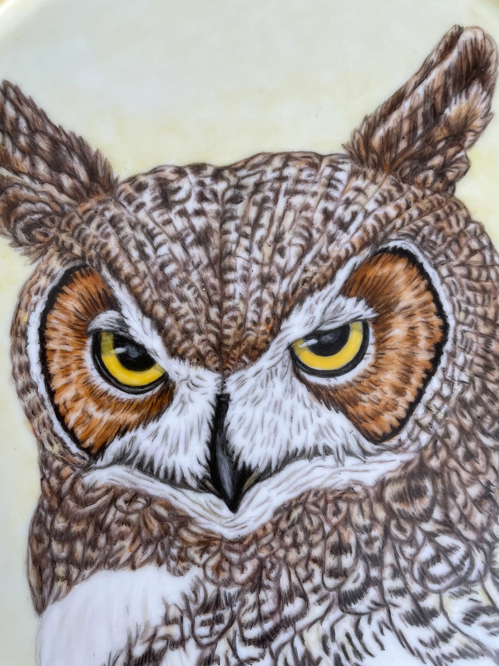 Large Hand Painted Great Horned Owl Portrait Oval Porcelain Wall Plaque - 7