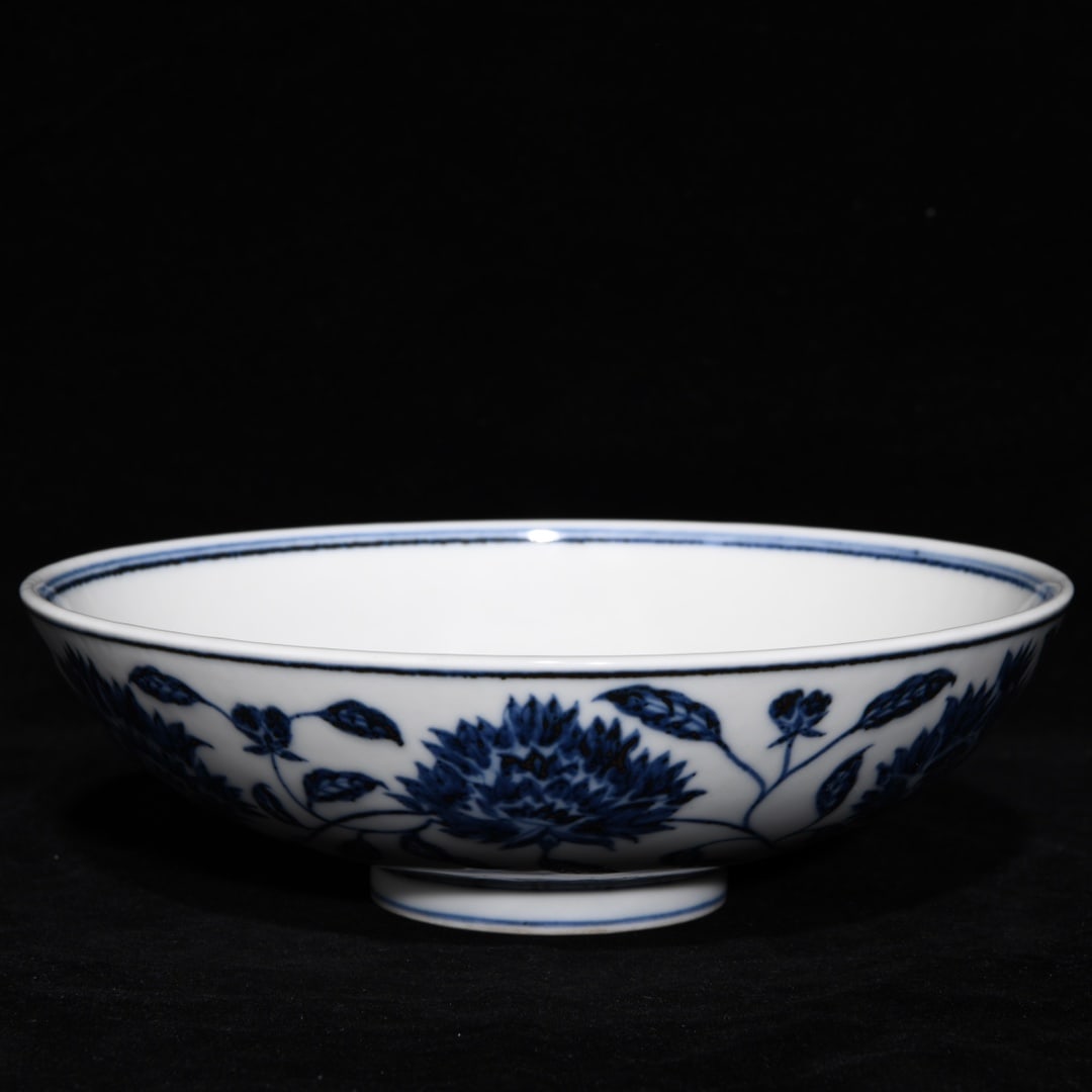 Chinese Blue and White Porcelain Bowl (1 of 9)