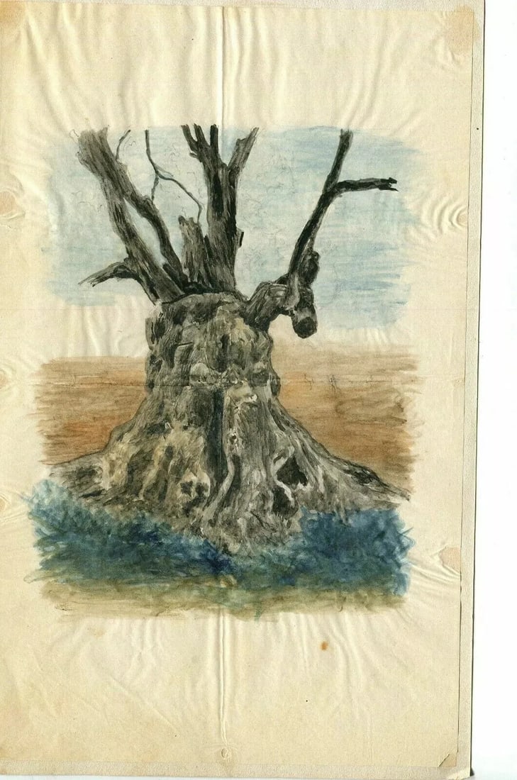 Tree, Forest, Nature, Trunk, Landscape - Drawing Vintage Original Artwork - 7