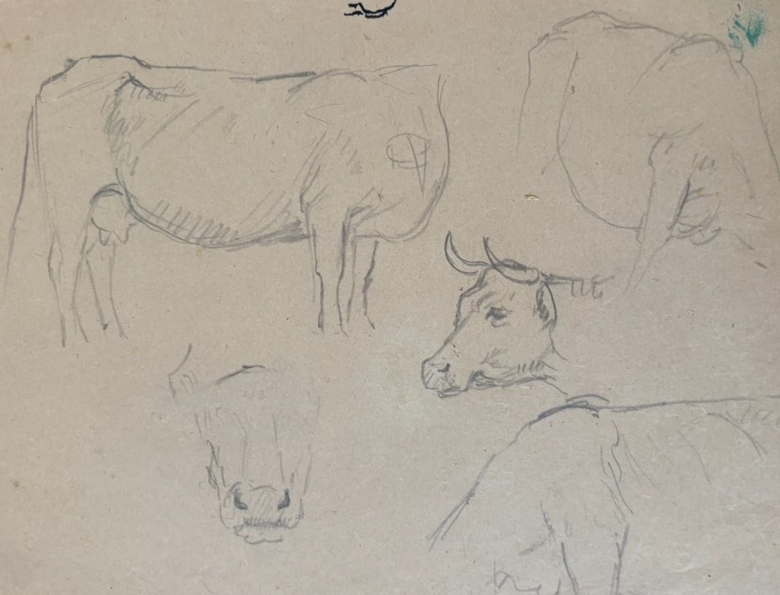 Cow, Animal, Sketch - Drawing Antique Original (1 of 8)