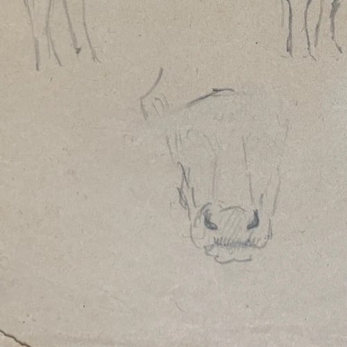 Cow, Animal, Sketch - Drawing Antique Original - 3