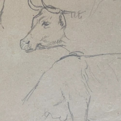 Cow, Animal, Sketch - Drawing Antique Original - 4