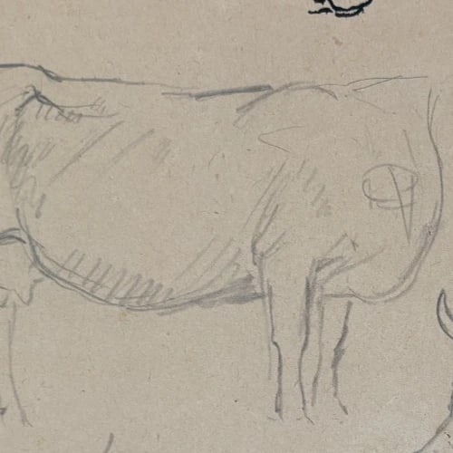 Cow, Animal, Sketch - Drawing Antique Original - 5