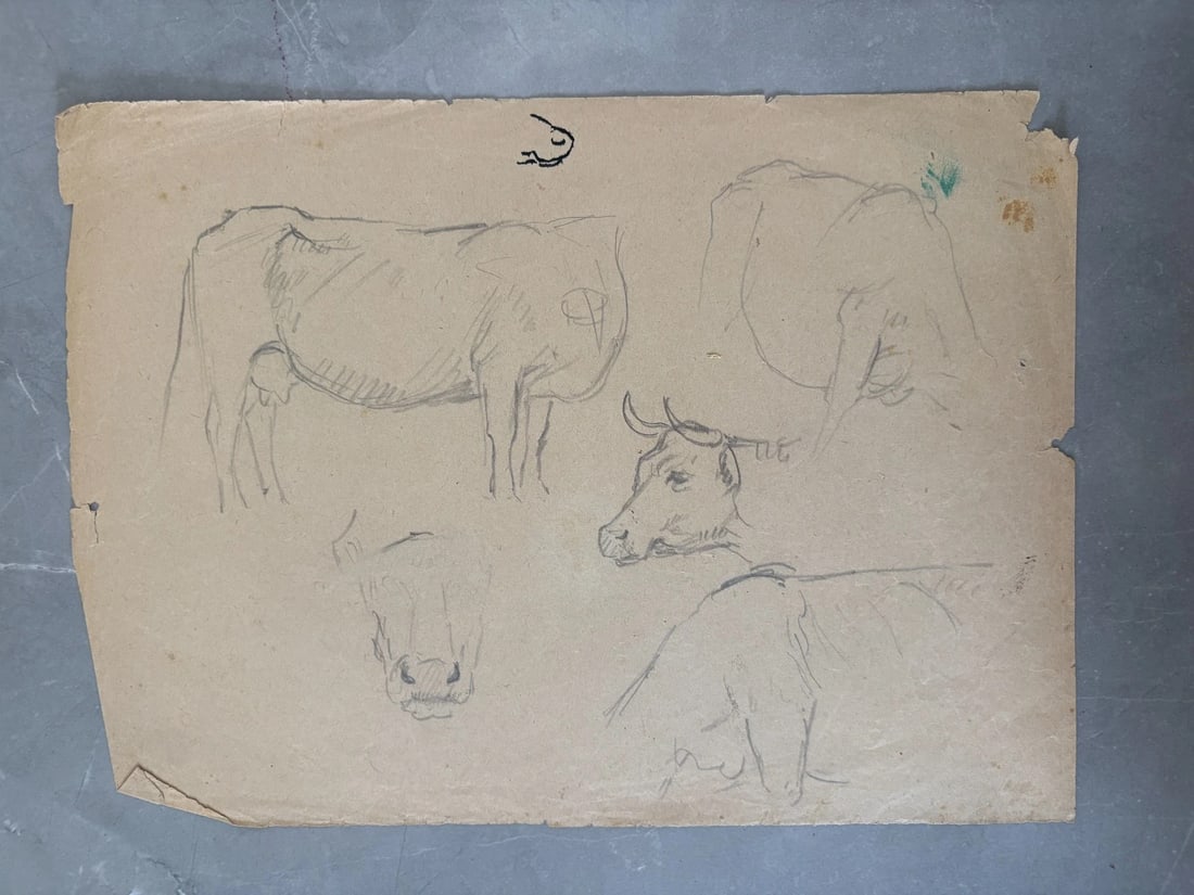 Cow, Animal, Sketch - Drawing Antique Original - 7