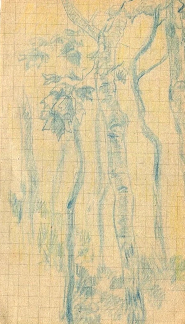 Forest, Trees, Nature - Drawing Vintage Pencil Original signed (1 of 8)