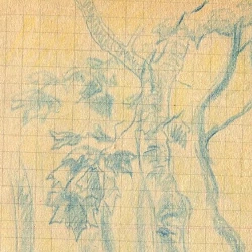 Forest, Trees, Nature - Drawing Vintage Pencil Original signed - 3