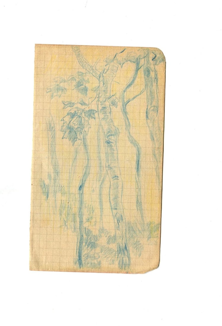 Forest, Trees, Nature - Drawing Vintage Pencil Original signed - 6