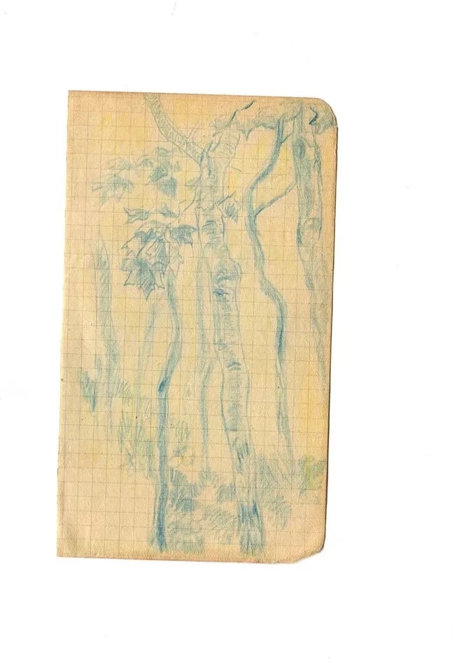 Forest, Trees, Nature - Drawing Vintage Pencil Original signed - 8