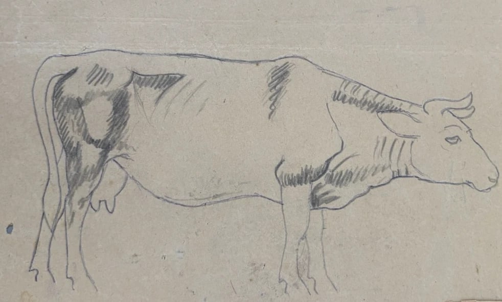 Cow, Animal Nature, Sketch - Drawing Antique Original (1 of 8)