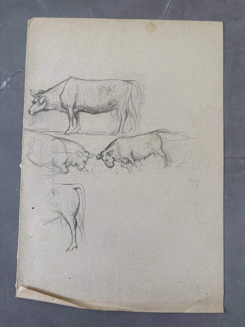 Cow, Bull, Animals Drawing Original Antique Pencil Artwork - 2