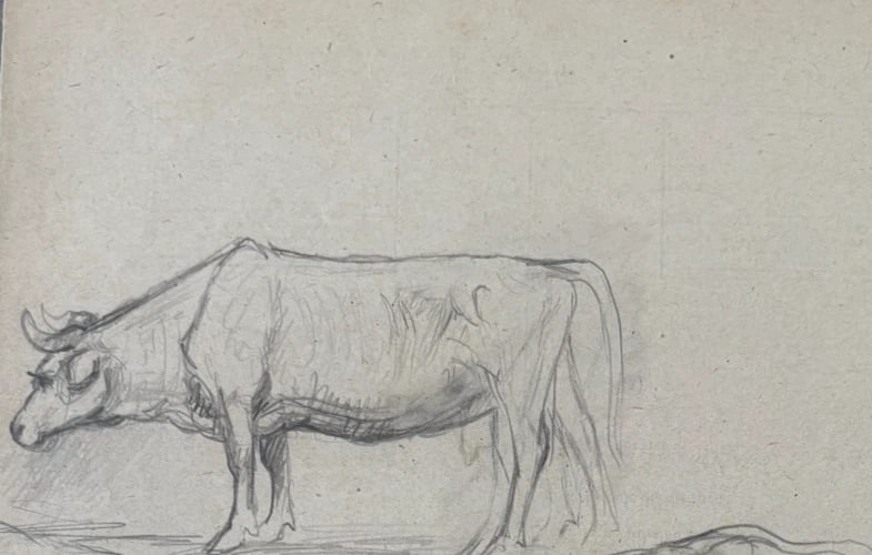 Cow, Bull, Animals Drawing Original Antique Pencil Artwork - 3