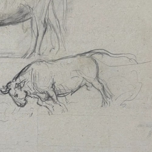 Cow, Bull, Animals Drawing Original Antique Pencil Artwork - 4