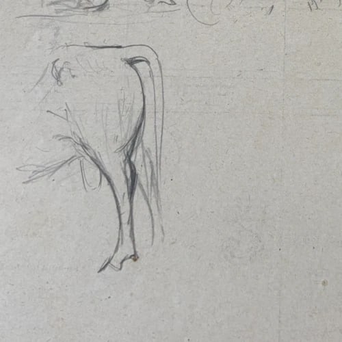 Cow, Bull, Animals Drawing Original Antique Pencil Artwork - 5